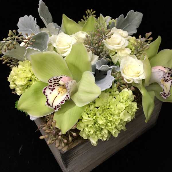 Low arrangement of green orchids, white roses, and hydrangeas in a wooden box.