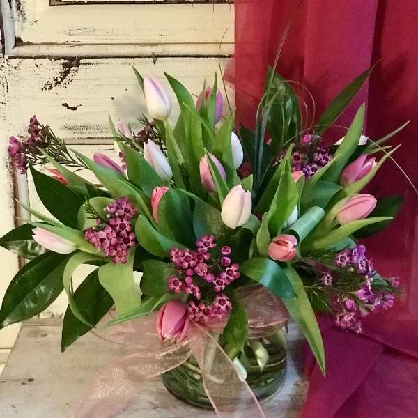 Pink and white tulips arranged in a glass vase with a ribbon