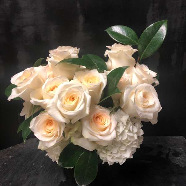 Cream roses arranged with white hydrangeas and glossy green leaves