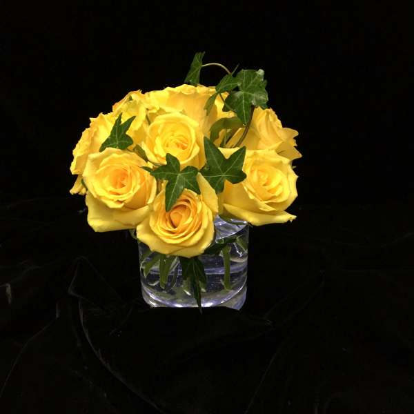 Compact arrangement of yellow roses with trailing ivy in a clear glass cube vase on black fabric.