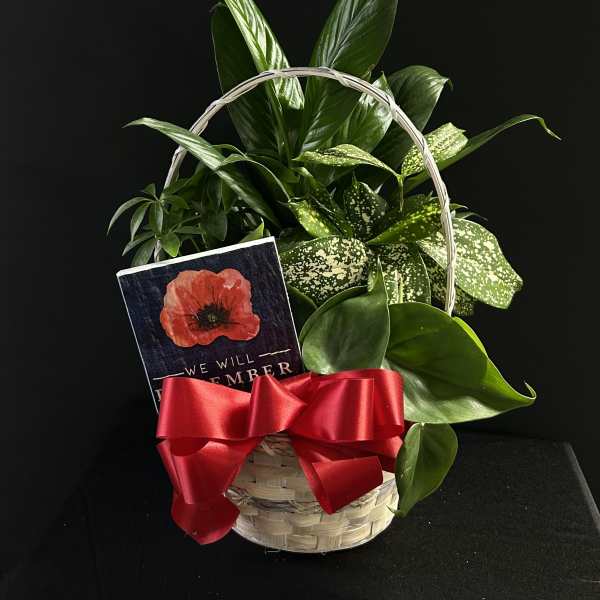 Basket of green houseplants with a red ribbon and memorial card
