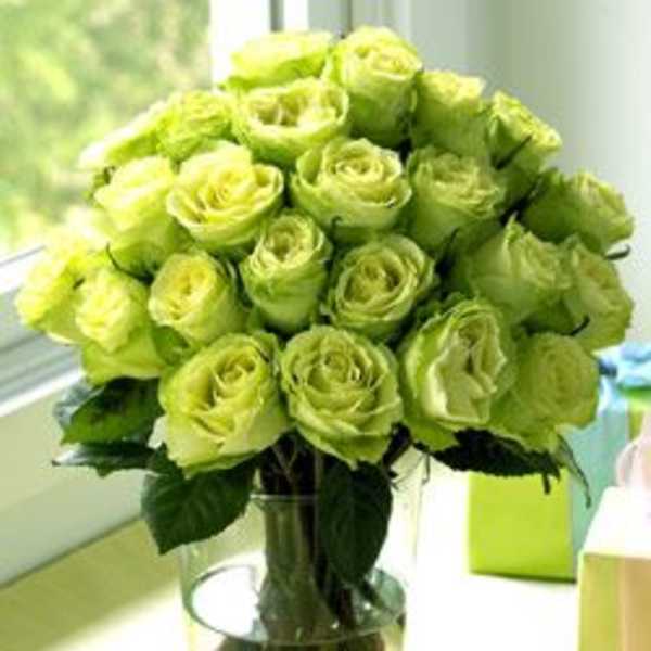Bouquet of green roses in a clear glass vase