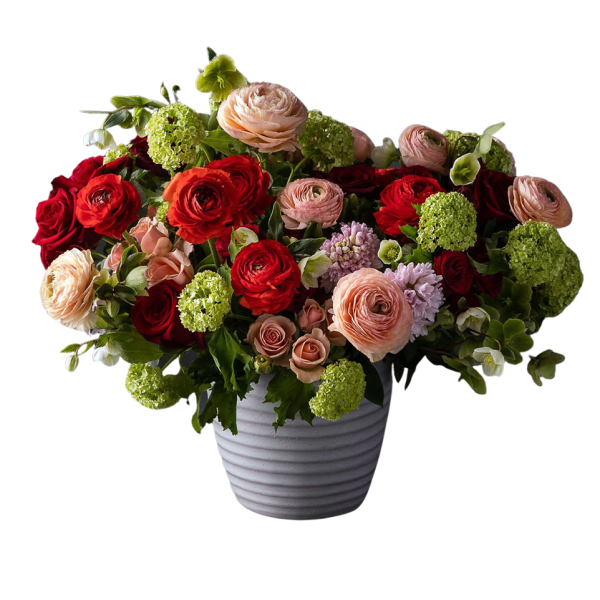 Rocky Mountain Springtime