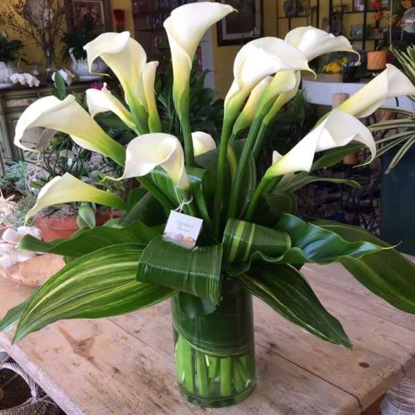 White calla lilies arranged in a glass vase with broad green leaves
