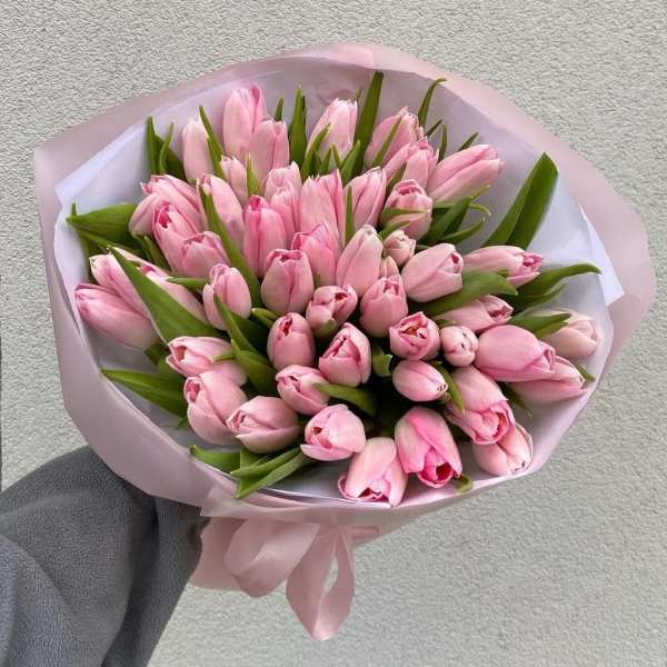 Bouquet of pink tulips wrapped in pale pink paper