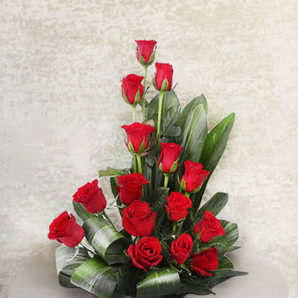 Red roses arranged in a low display with broad green leaves