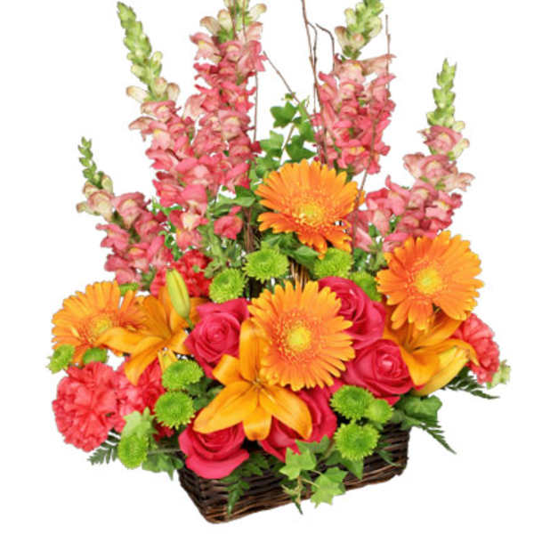 Basket arrangement with orange gerberas, pink roses, and tall pink snapdragons