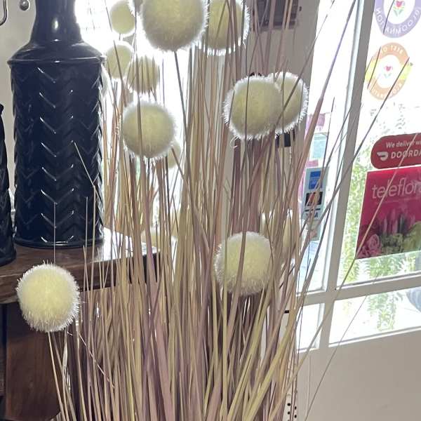Tall decorative arrangement with fuzzy cream spheres on thin stems in a black pot