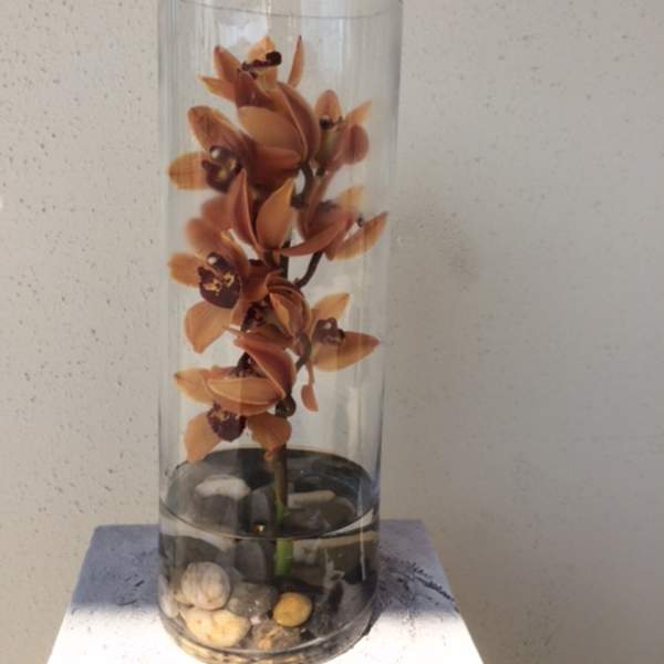 Orange orchid stems in a tall clear glass vase with stones