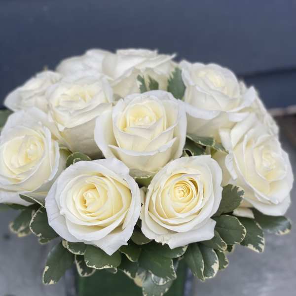 White roses arranged in a square vase with green foliage