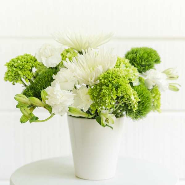 green and white creation