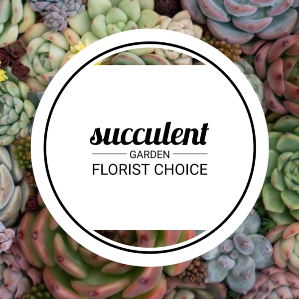 Succulent garden graphic with a circular florist choice label