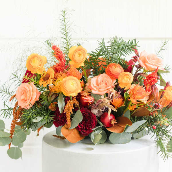 warm harvest harmony