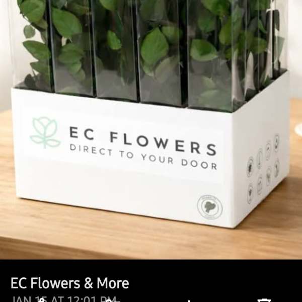 22" PRESERVED RED ROSE