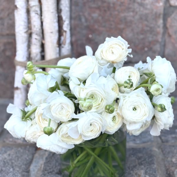 White ranunculus bouquet in a clear glass vase