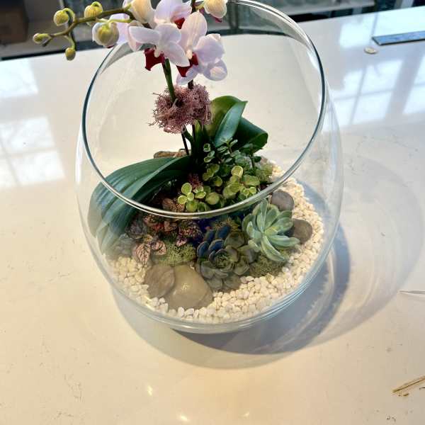 Orchid and succulents in a glass bowl terrarium