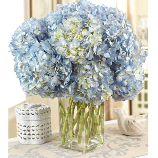 Blue Hydrangea Bouquet
