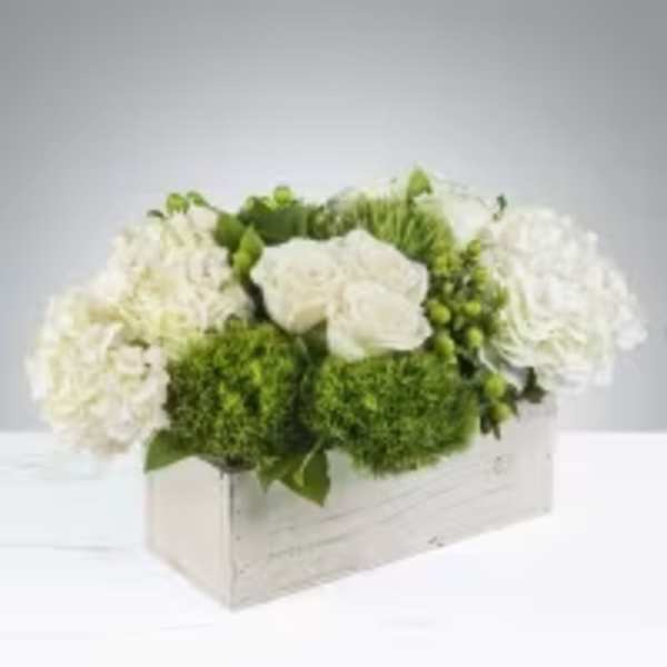 Fresh Harmony White & Green Arrangement