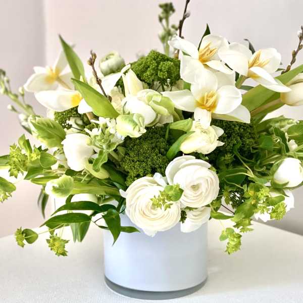 Clean whites + brights- Spring edition!