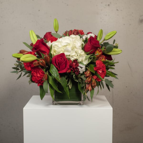 Red roses and white hydrangea in a square glass vase