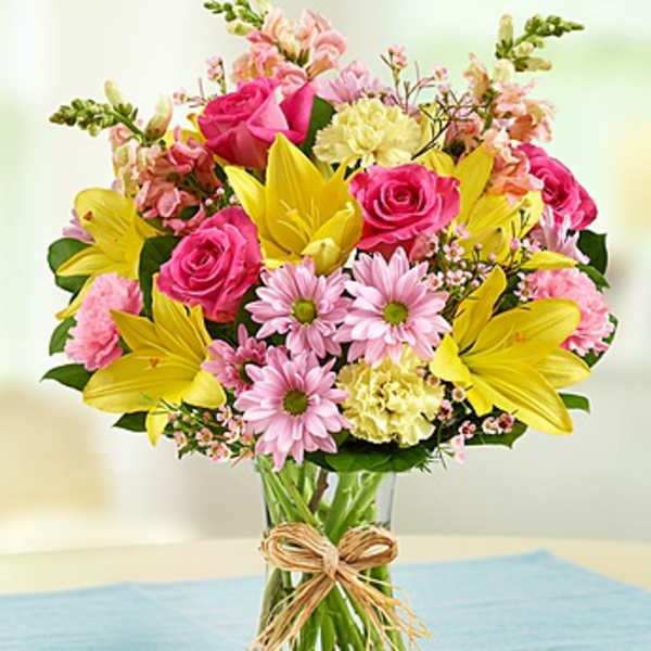 Fields of Europe for Mom