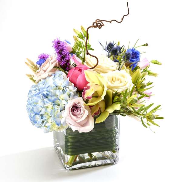 Large local Fresh Market Cube