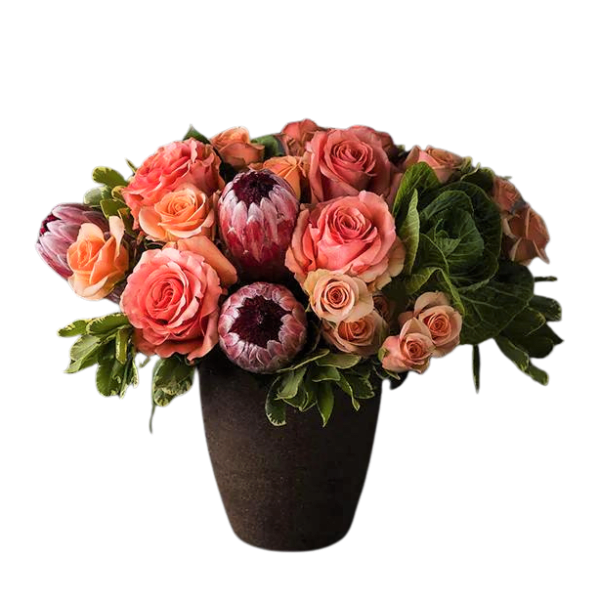 Peach and coral roses with protea in a dark vase