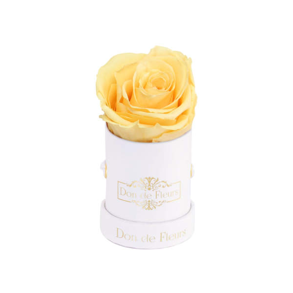 Mini White Round Preserved Rose-Yellow