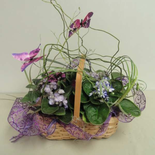 Basket arrangement with purple flowers and curly green stems