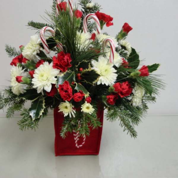 Christmas arrangement of red and white flowers in a red container