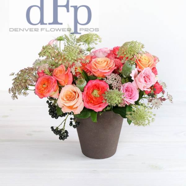 Mixed pink and peach roses in a brown pot