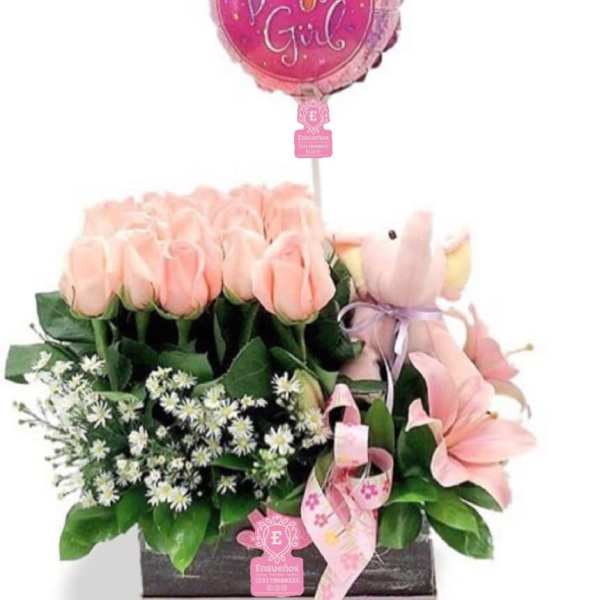 Bienvenida Baby Girl