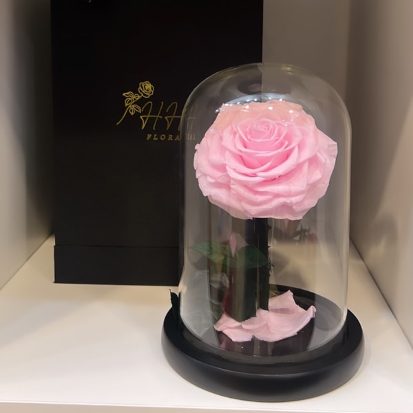 Pink Preserved Rose Dome