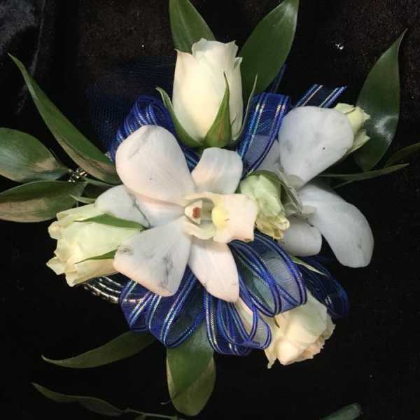 White orchid corsage with blue ribbon on a dark background