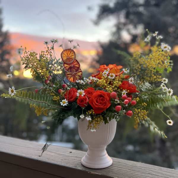 Red roses and small white daisies in a white vase with dried orange slices