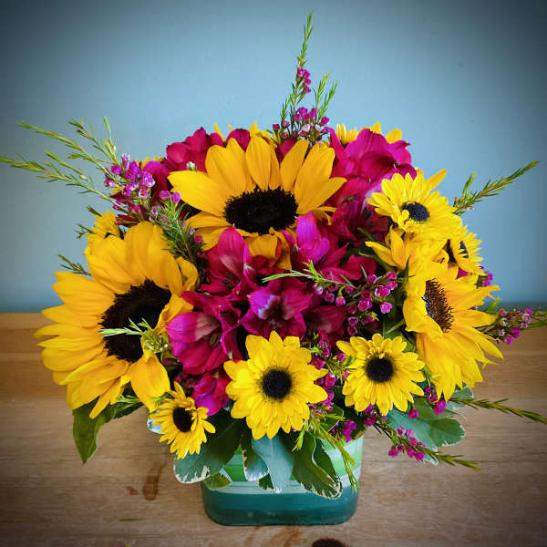 Always Sunny in Colorado