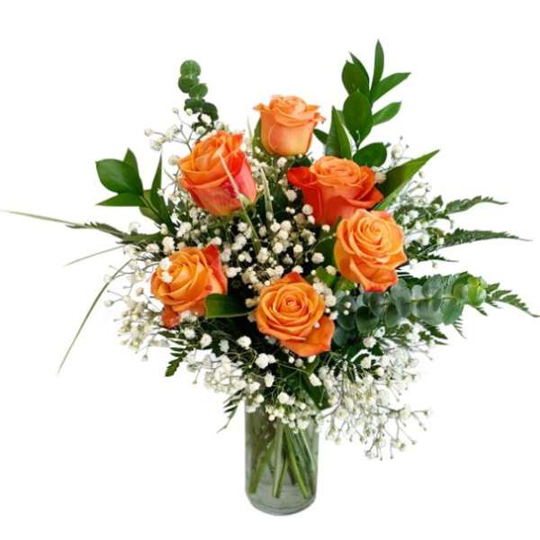 1/2 Dozen Orange Roses