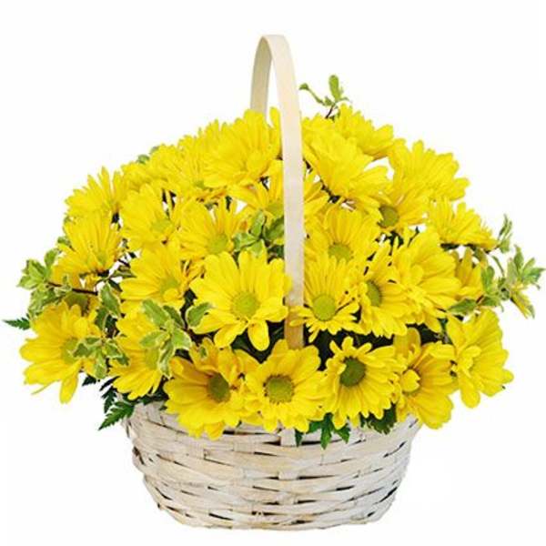 Yellow daisies arranged in a white wicker basket with a handle