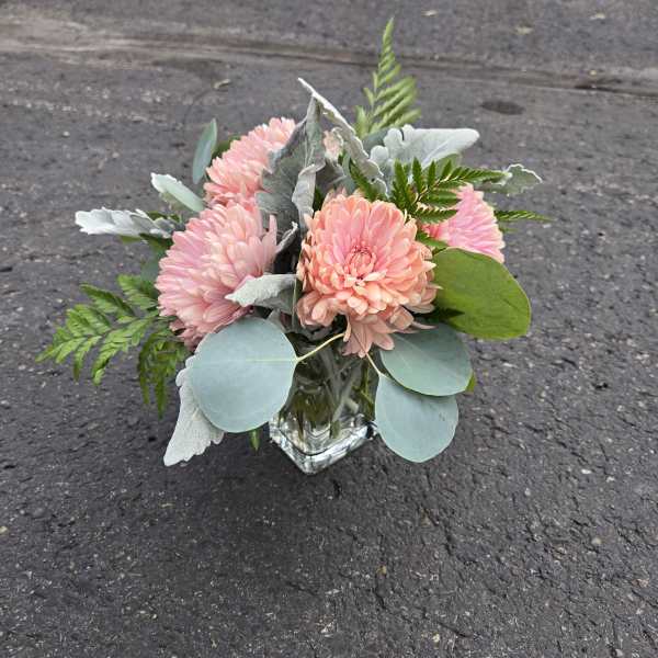 Pink chrysanthemum bouquet in a clear square vase with silver foliage
