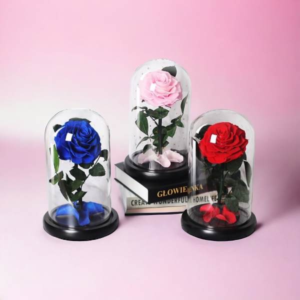 Three preserved roses in blue, pink, and red under glass domes with black bases on a pink background