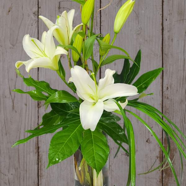 White lilies in a clear glass vase with curly branches