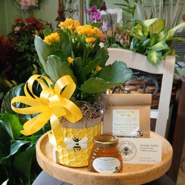 Yellow flowers in a honeycomb-patterned pot with a ribbon, plus a honey jar and card