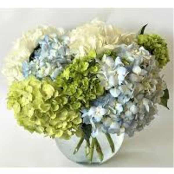 Charleston Cobblestones