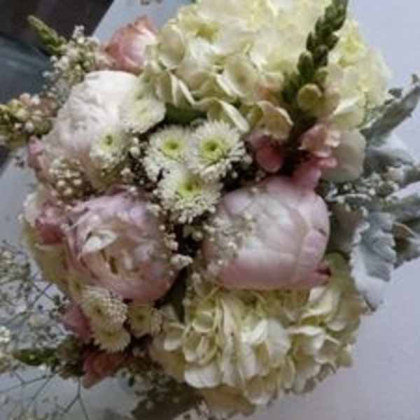 Bouquet of pale pink and white flowers with soft greenery