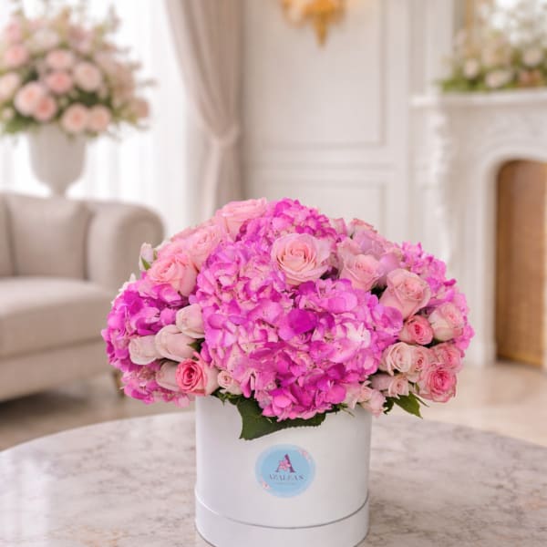 Blush Elegance - Edicion Deluxe