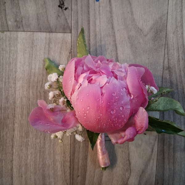 Pink peony boutonniere with small white filler flowers