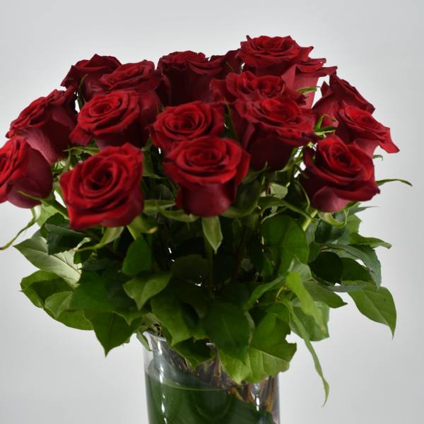 Enduring Bliss "Classic"