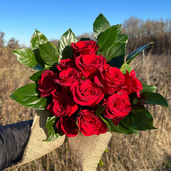 Handheld bouquet of red roses with green foliage wrapped in burlap