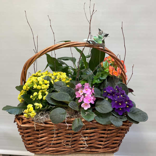 Wicker basket planter with colorful flowering plants and bare twigs