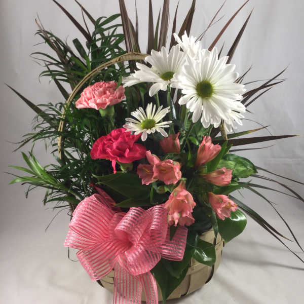 Garden's Delight Dish Garden